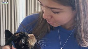 PETA slams Bass, LA for wildfire response for pets