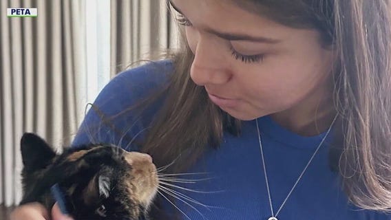 PETA slams Bass, LA for wildfire response for pets