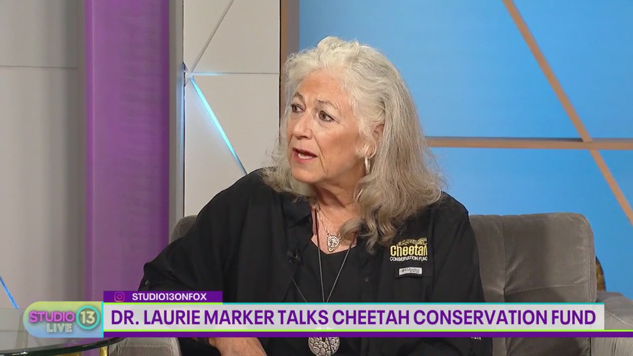 Dr. Laurie Marker talks Cheetah Conservation Fund