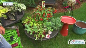 Tips for landscaping in the shade