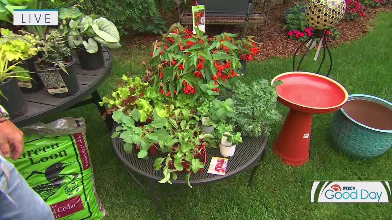 Tips for landscaping in the shade