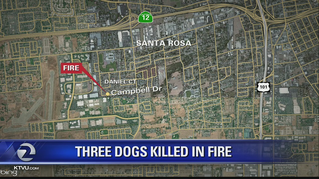 Three dogs killed in early-morning fire
