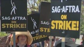Hollywood's entertainment industry on strike