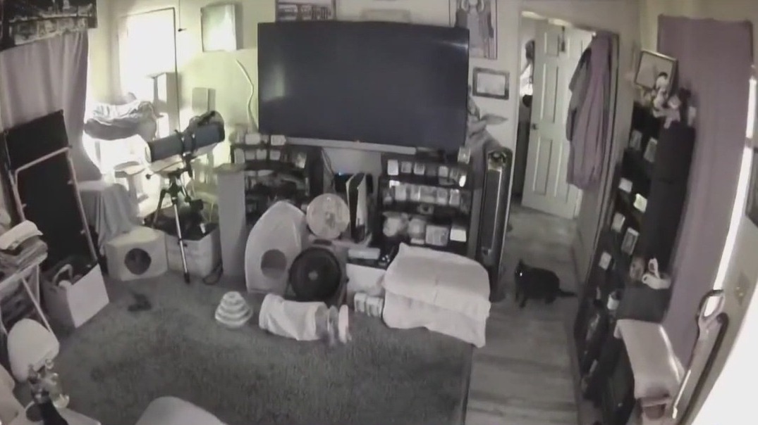 Earthquakes hits California near San Diego