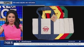 Viral Trader Joe's Mini Tote Bag Is Selling Out- Angie has an alternative