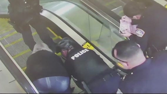 Service dog gets stuck in LAX escalator