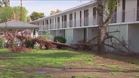 Monsoon storm damaged Phoenix area neighborhoods