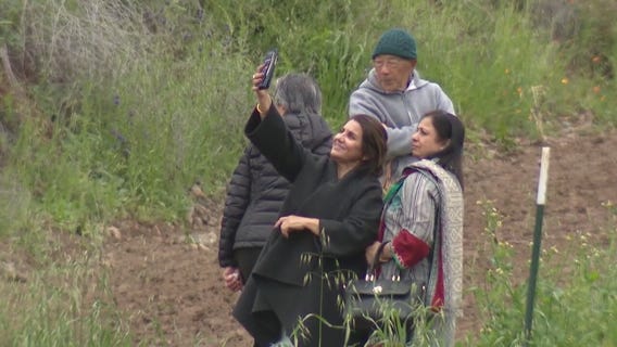 It's going to cost you to see the super bloom in Lake Elsinore