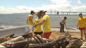 Debris crash the beach party at Sandy Point State Park