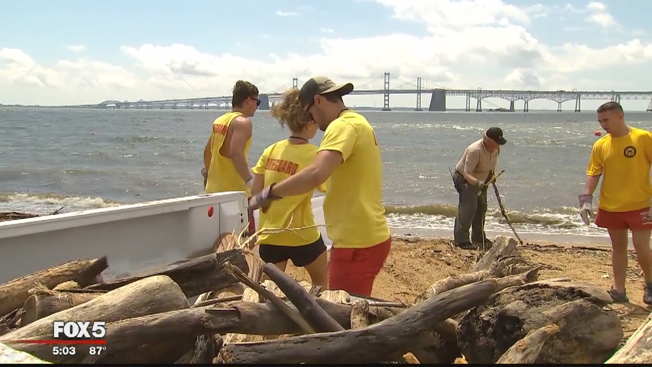 Debris crash the beach party at Sandy Point State Park