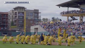 Savannah Bananas play ball in Glendale