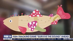 WA fish-tracking game 'Survive the Sound' kicks off Monday