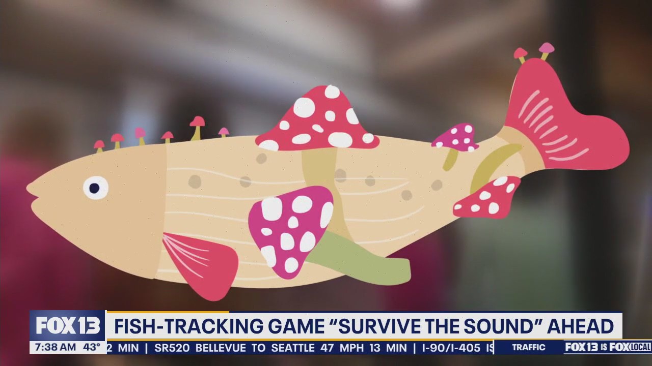 WA fish-tracking game 'Survive the Sound' kicks off Monday
