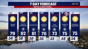 Seattle weather: sunny skies with 80's on the horizon