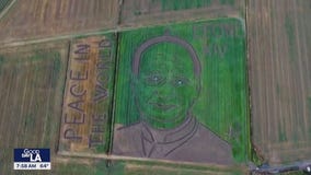Portrait of Pope Leo XIV cut into field in Italy