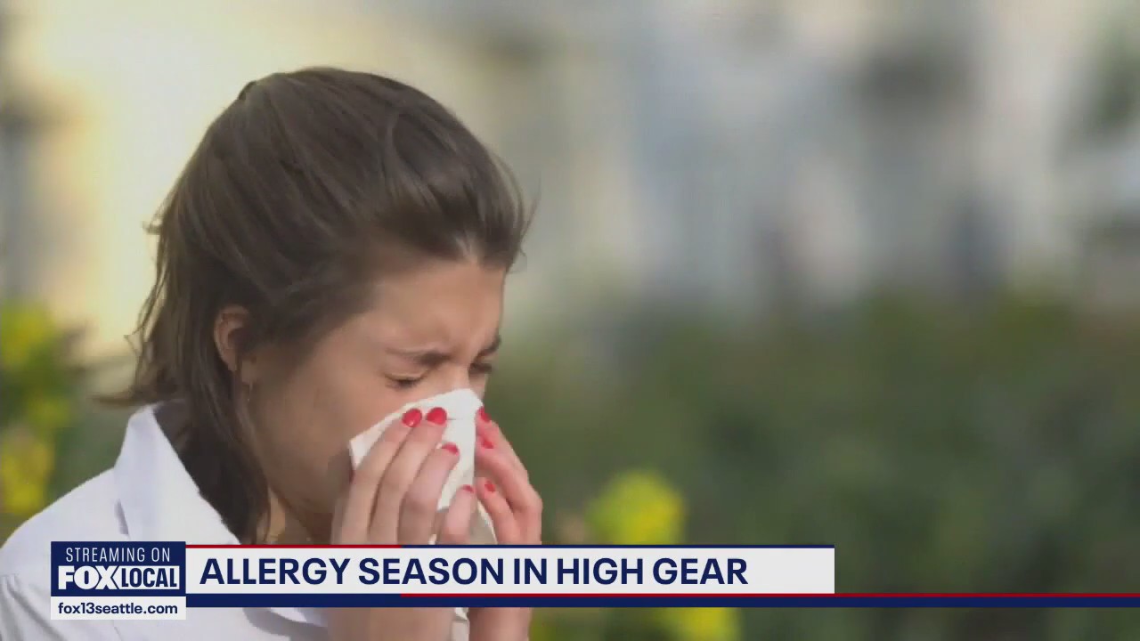 Allergy season in high gear due to less rain