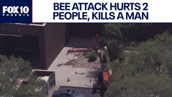 Police identify man killed in Scottsdale bee attack