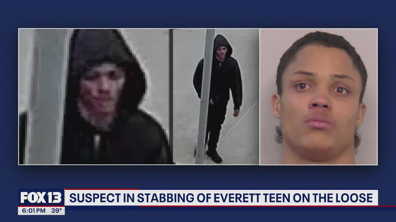 Suspect in stabbing of Everett teen on the loose | FOX 13 Seattle