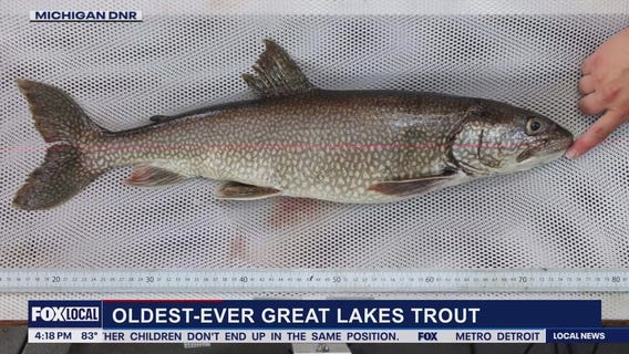 Oldest lake trout ever caught in Lake Superior