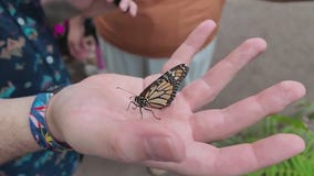 Exploring nature at Camp Kingfisher
