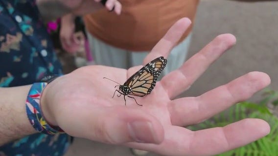 Exploring nature at Camp Kingfisher