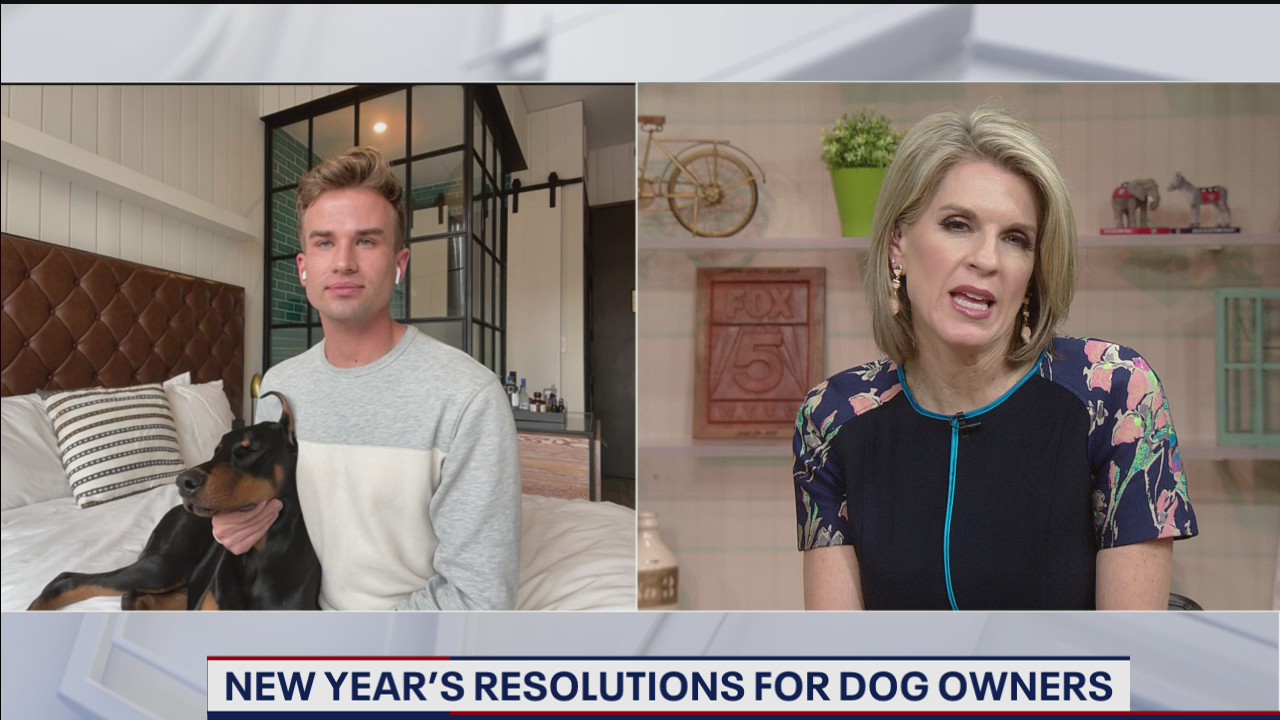 New year's resolutions for dog owners