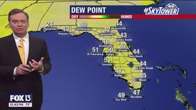 Tampa Weather | 80 degree temperatures to return