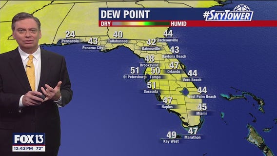 Tampa Weather | 80 degree temperatures to return