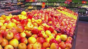 How to improve your gut health