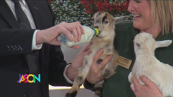 Jason feeds baby goat Hank Williams Jr.
