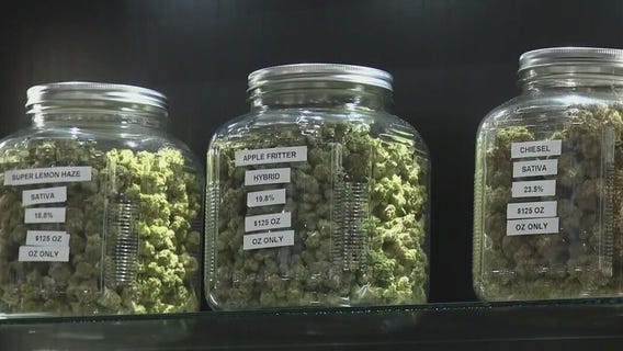 Early cannabis cultivation in Minnesota