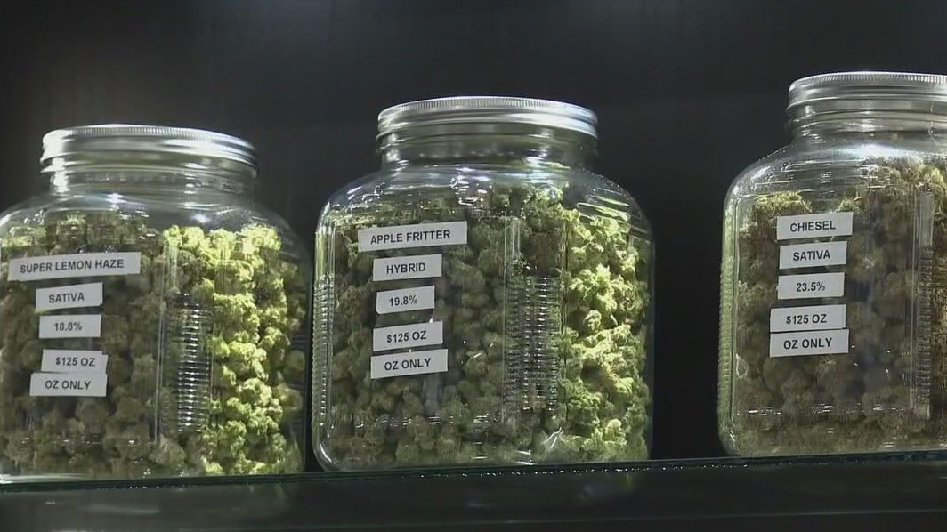 Early cannabis cultivation in Minnesota