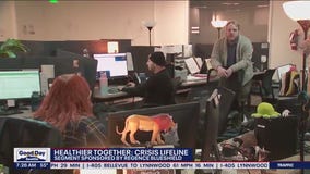 Healthier Together: Crisis Lifeline