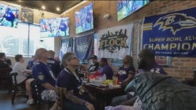 Die Hards & Dive Bars: Tampa Ravens Flock