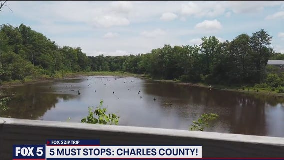 FOX 5 Zip Trip Waldorf: 5 Must Stops!