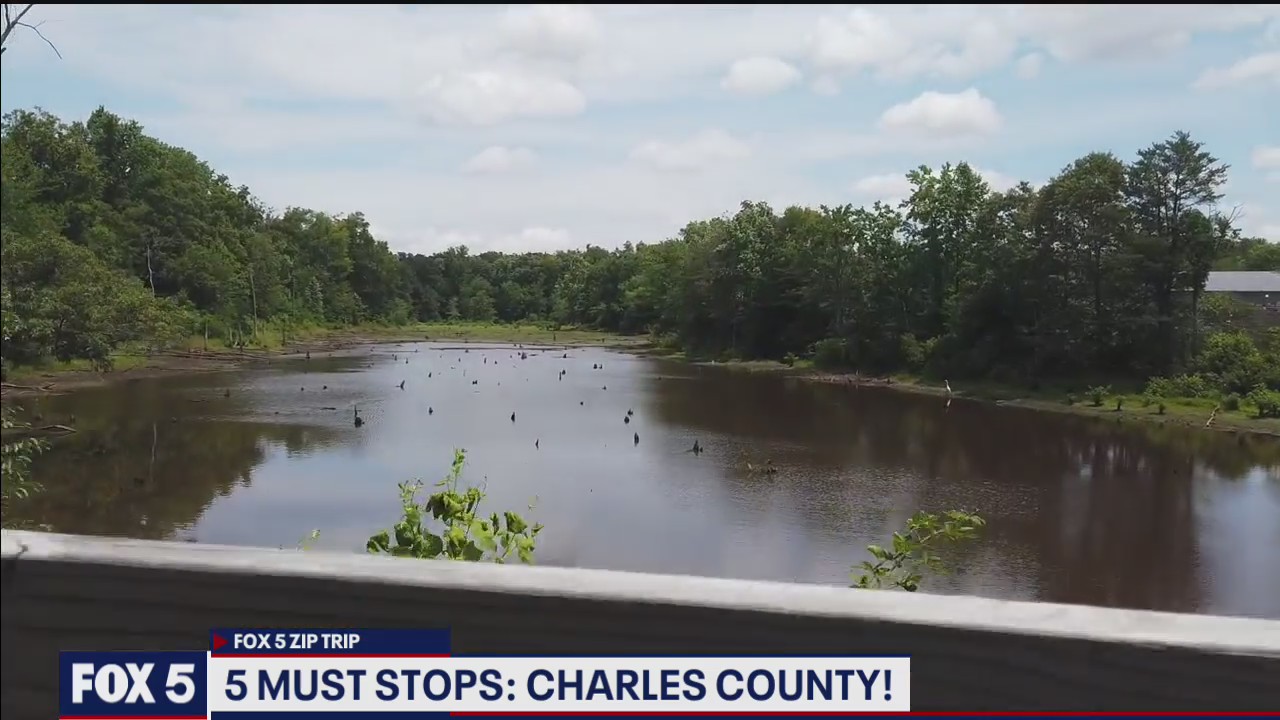 FOX 5 Zip Trip Waldorf: 5 Must Stops!