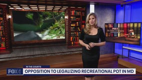 In The Courts Marijuana Special: Explaining Maryland's Question 4 & current laws in DC and VA