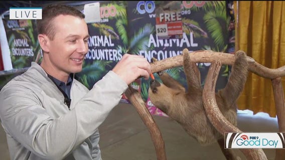 FOX 9 Good Day: Jan. 17, 2025