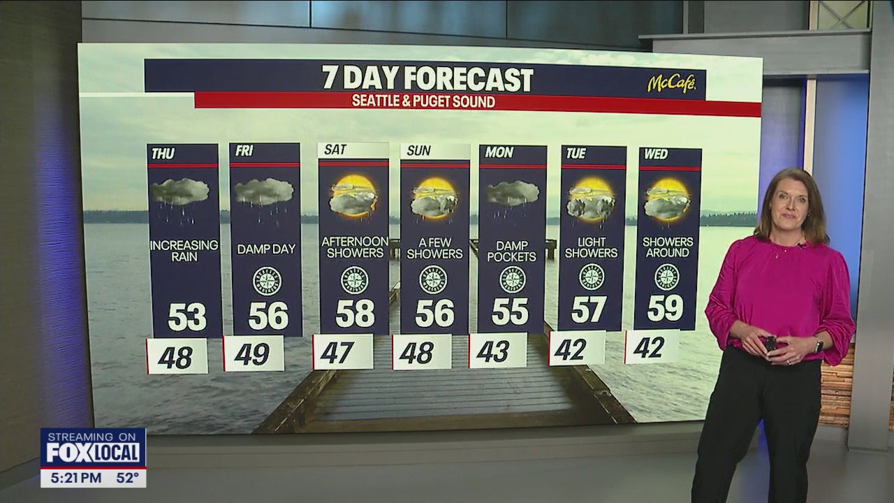 Damp, cloudy week ahead
