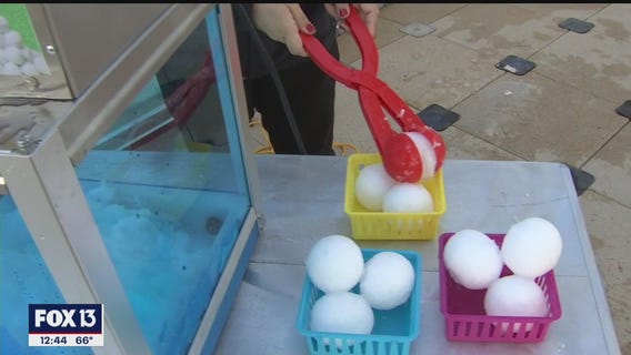 Snow is in the forecast at The Florida Aquarium