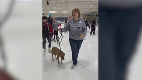 'Skate with the Dogs' charity event raises funds for foster dogs