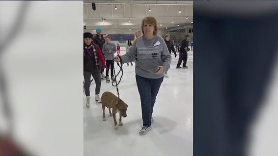 'Skate with the Dogs' charity event raises funds for foster dogs