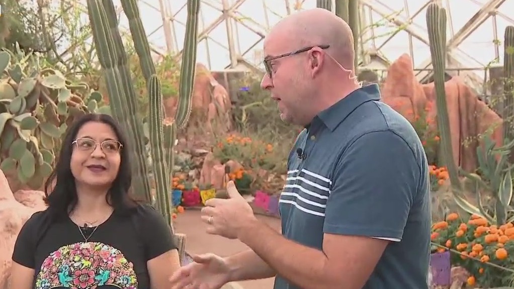 Dia de Los Muertos ofrendas