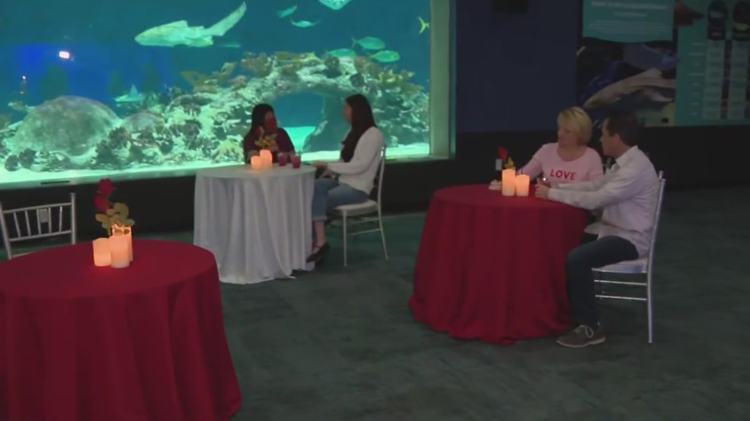 Odysea Aquarium offering romantic dinner
