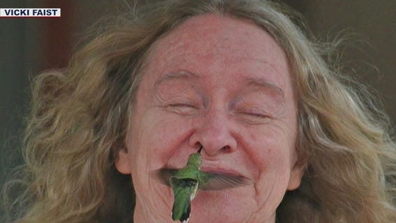 Photo captures hummingbird flying up to Tucson woman's face