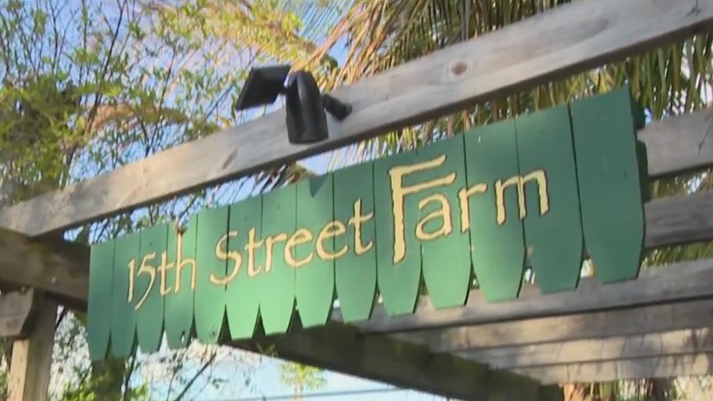 Charley's World | 15th Street Farm