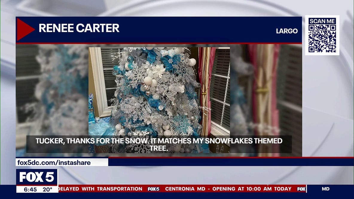 Snowflake themed tree & more holiday lights