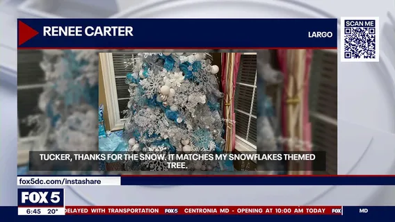 Snowflake themed tree & more holiday lights