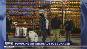 11th Annual Great Highwood Pumpkin Fest happening this weekend