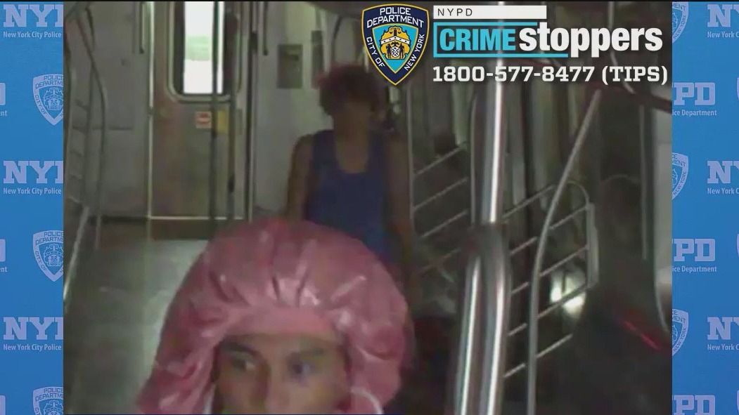 Search for suspects in subway train theft